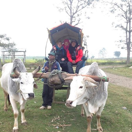 Everest Home Stay Apartment Lalitpur Eksteriør billede