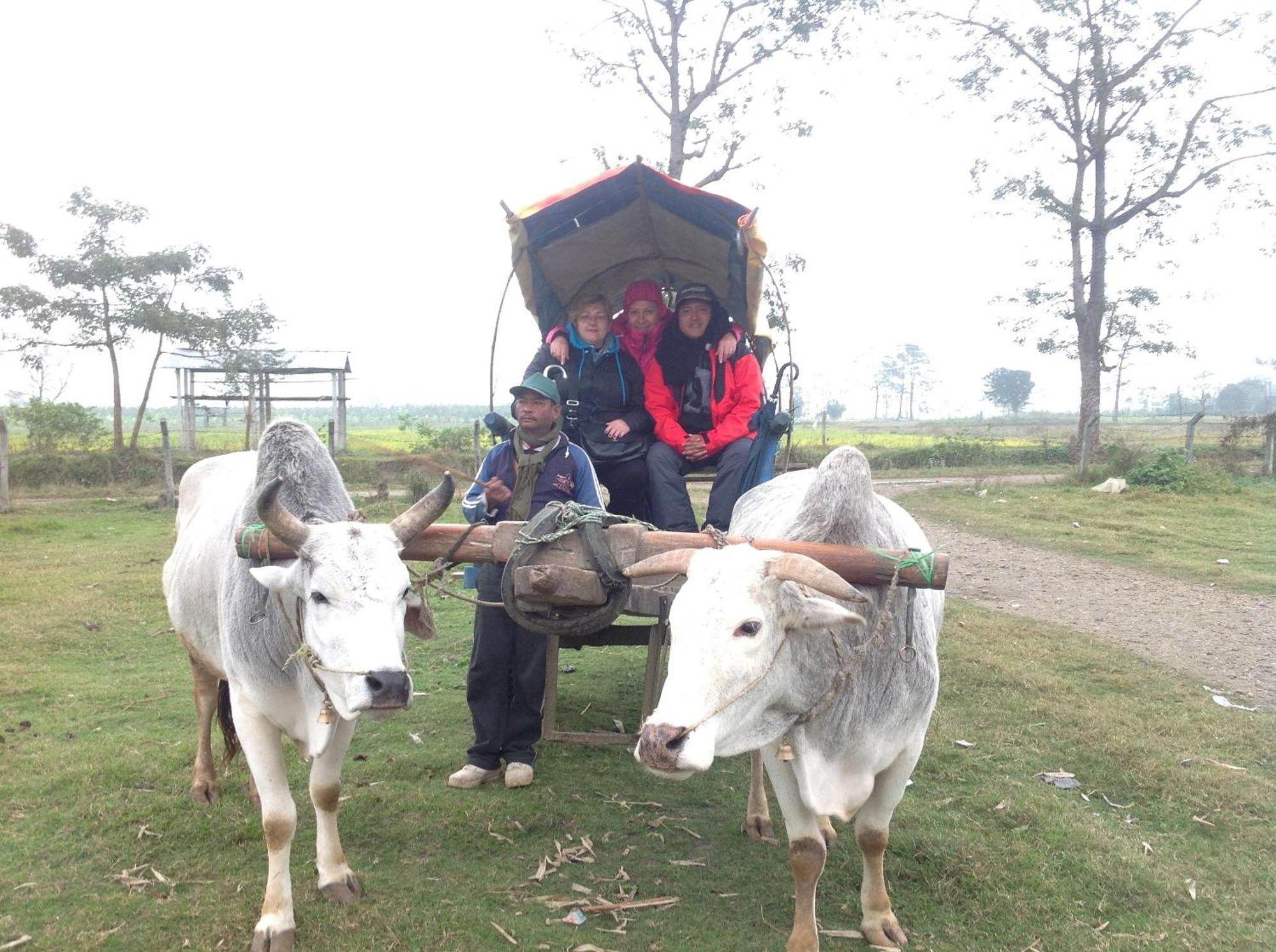 Everest Home Stay Apartment Lalitpur Eksteriør billede