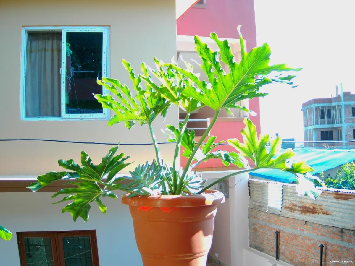 Everest Home Stay Apartment Lalitpur Eksteriør billede